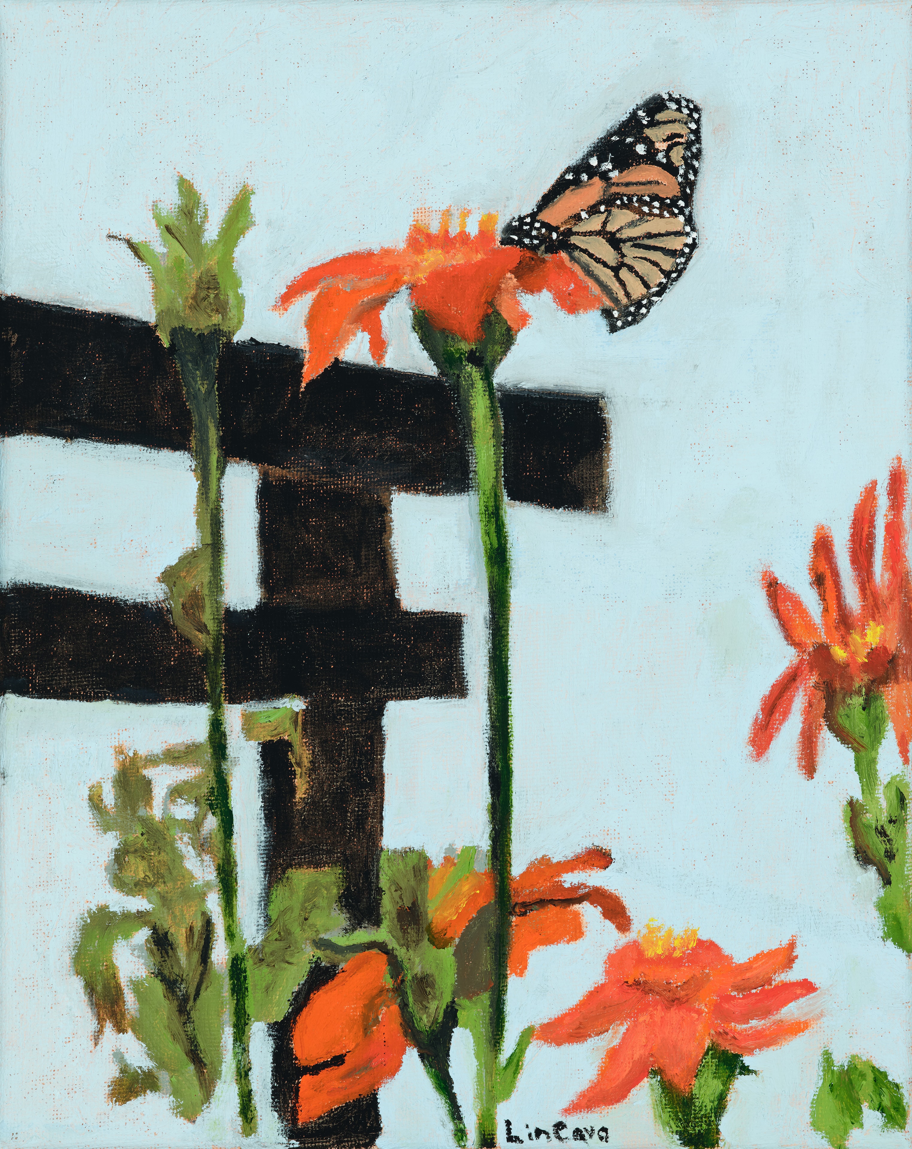 Monarch on Zinnia